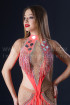 Professional bellydance costume (classic 202a)